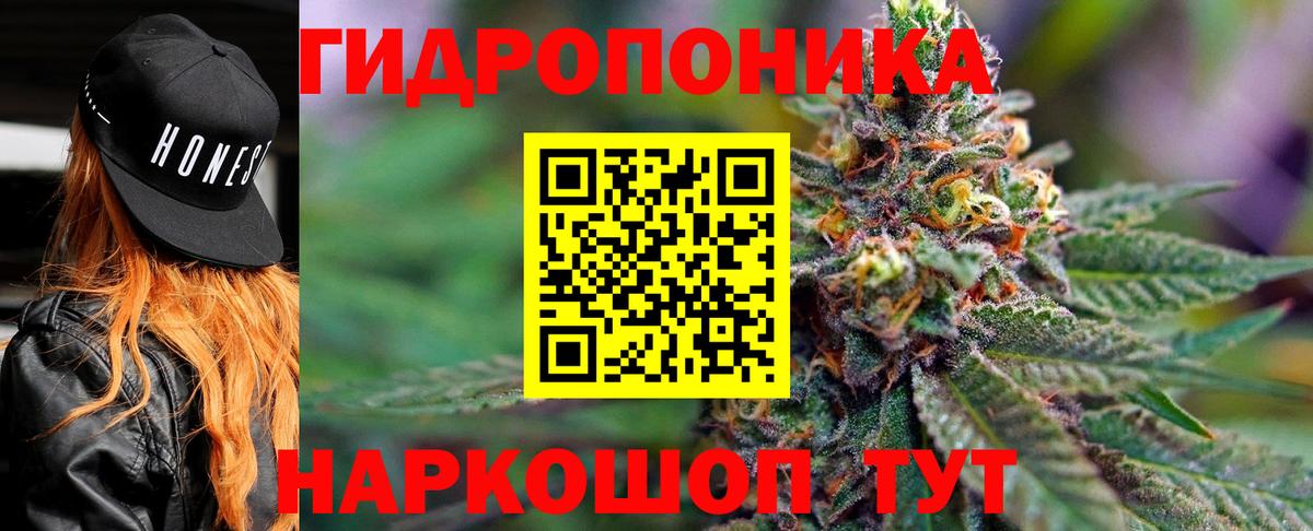 Бошки Шишки Химки